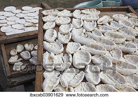 "Cheese of the nomads, spread out to dry, near Bulgan, Bulgan Aimag, Mongolia, Asia" View Large Photo Image Stock Photo - "Cheese of the nomads, spread out to dry, near Bulgan, Bulgan Aimag, Mongolia, Asia". Fotosearch