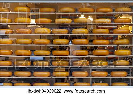 "Cheese wheels in a shop, Delft, Holland, The Netherlands, Europe" View Large Photo Image Stock Image - "Cheese wheels in a shop, Delft, Holland, The Netherlands, Europe". Fotosearch