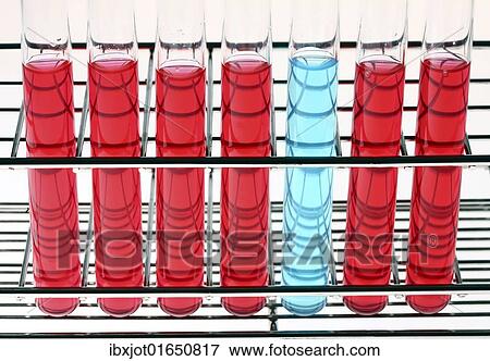 Chemicals in test tubes View Large Photo Image Stock Photo - Chemicals in test tubes. Fotosearch