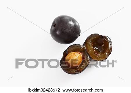 "Cherry Laurel (Prunus laurocerasus), fruits" View Large Photo Image Stock Image - "Cherry Laurel (Prunus laurocerasus), fruits". Fotosearch