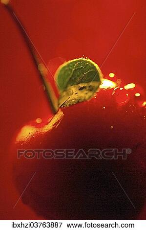 Cherry View Large Photo Image Stock Photo - Cherry. Fotosearch