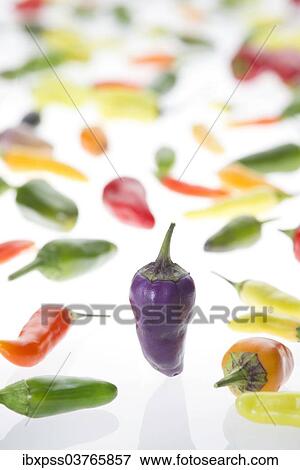 Stock Photo - Chili Ecuador Purple and various chili peppers. Fotosearch