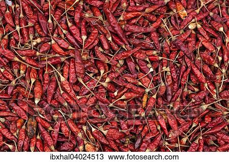 Stock Image - "Chili peppers (Capsicum annuum), dried, Myanmar, Asia". Fotosearch