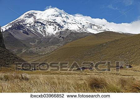 Stock Image - "Chimborazo volcano, Chimborazo Province, Ecuador, South America". Fotosearch