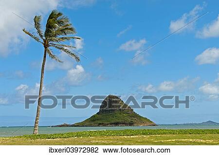 "Chinaman's Hat, O'ahu, Hawaii, United States, North America" View Large Photo Image Stock Image - "Chinaman's Hat, O'ahu, Hawaii, United States, North America". Fotosearch