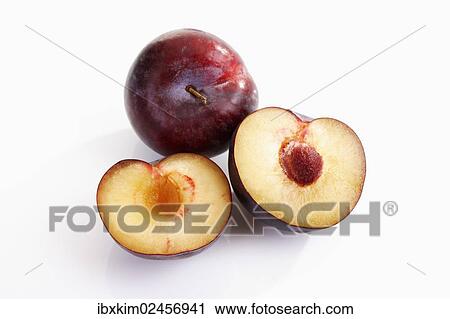 Chinese plums (Prunus salicina) View Large Photo Image Stock Image - Chinese plums (Prunus salicina). Fotosearch