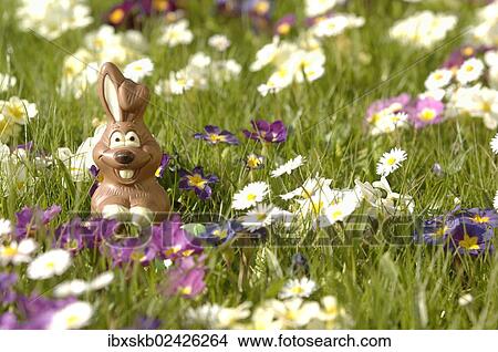 Chocolate bunny in a flower meadow View Large Photo Image Picture - Chocolate bunny in a flower meadow. Fotosearch