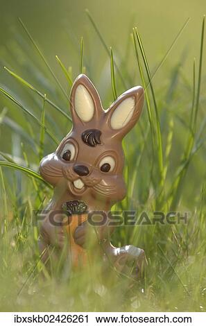 Chocolate bunny in a meadow View Large Photo Image Stock Image - Chocolate bunny in a meadow. Fotosearch