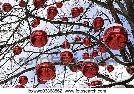 Stock Image - Christmas balls on a tree covered with snow. Fotosearch