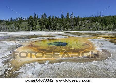 "Chromatic Pool, Yellowstone National Park, Wyoming, United States, North America" View Large Photo Image Stock Image - "Chromatic Pool, Yellowstone National Park, Wyoming, United States, North America". Fotosearch