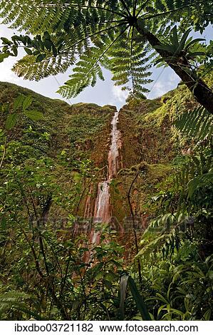 "Chutes du Carbet, a waterfall in a rainforest, Saint-Claude, Arrondissement of Basse-Terre, Guadeloupe, France, North America" View Large Photo Image Stock Image - "Chutes du Carbet, a waterfall in a rainforest, Saint-Claude, Arrondissement of Basse-Terre, Guadeloupe, France, North America". Fotosearch