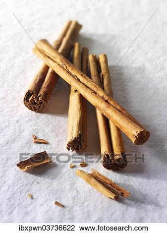 Cinnamon sticks View Large Photo Image Stock Image - Cinnamon sticks. Fotosearch