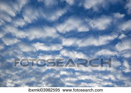 "Cirrocumulus clouds, small fluffy clouds, Germany, Europe" View Large Photo Image Stock Photography - "Cirrocumulus clouds, small fluffy clouds, Germany, Europe". Fotosearch