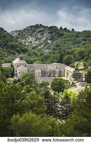 "Cistercian Senanque Abbey with lavender field, in Gordes, Vaucluse, Provence, Provence-Alpes-Cote d'Azur, France, Europe" View Large Photo Image Stock Photo - "Cistercian Senanque Abbey with lavender field, in Gordes, Vaucluse, Provence, Provence-Alpes-Cote d'Azur, France, Europe". Fotosearch