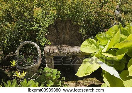 "Clamshell back garden bench and hosta plant leaves in a landscaped residential backyard garden, Quebec, Canada, North America" View Large Photo Image Stock Image - "Clamshell back garden bench and hosta plant leaves in a landscaped residential backyard garden, Quebec, Canada, North America". Fotosearch