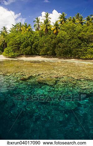 Stock Image - "Clear water and an islet in the Ant Atoll, Pohnpei, Micronesia, Oceania". Fotosearch