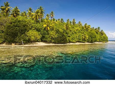 "Clear water and an islet in the Ant Atoll, Pohnpei, Micronesia, Oceania" View Large Photo Image Stock Image - "Clear water and an islet in the Ant Atoll, Pohnpei, Micronesia, Oceania". Fotosearch