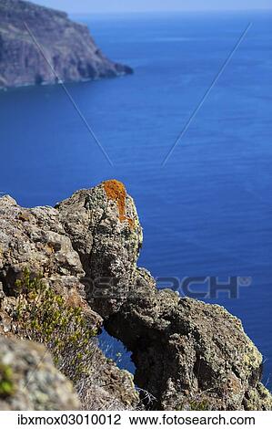 "Cliff coast near Ponta do Pargo with lichen growing on the rocks, Ponta do Pargo, Faja da Ovelha, Calheta, Madeira, Portugal, Europe" View Large Photo Image Stock Image - "Cliff coast near Ponta do Pargo with lichen growing on the rocks, Ponta do Pargo, Faja da Ovelha, Calheta, Madeira, Portugal, Europe". Fotosearch
