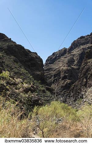 "Cliff in the Masca Gorge, rock formation, volcanic rocks, Tenerife, Canary Islands, Spain, Europe" View Large Photo Image Stock Photograph - "Cliff in the Masca Gorge, rock formation, volcanic rocks, Tenerife, Canary Islands, Spain, Europe". Fotosearch