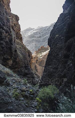 "Cliff in the Masca Gorge, volcanic rock, Tenerife, Canary Islands, Spain, Europe" View Large Photo Image Stock Photography - "Cliff in the Masca Gorge, volcanic rock, Tenerife, Canary Islands, Spain, Europe". Fotosearch