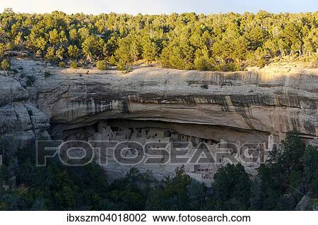 "Cliff Palace cliff houses of the Anasazi, from the Sun Point, Mesa Verde National Park, Colorado, United States, North America" View Large Photo Image Stock Image - "Cliff Palace cliff houses of the Anasazi, from the Sun Point, Mesa Verde National Park, Colorado, United States, North America". Fotosearch
