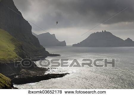 "Cliffs in front of the silhouette of the rugged rocks of Tindholmur, Vagar, Faroe Islands, Denmark, Europe" View Large Photo Image Stock Photo - "Cliffs in front of the silhouette of the rugged rocks of Tindholmur, Vagar, Faroe Islands, Denmark, Europe". Fotosearch