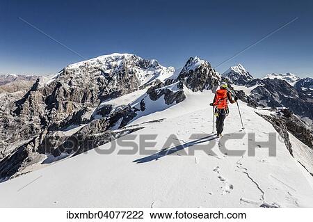 "Climber on the Trafoierjoch on Stelvio Pass, behind the Ortler, Thurwieser, the Konigspitze and the Monte Cevedale, Trafoiertal, Ortler Alps, Ortler region, Stelvio National Park, Province of South Tyrol, region of Trentino-Alto Adige, Italy, Europe" View Large Photo Image Stock Image - "Climber on the Trafoierjoch on Stelvio Pass, behind the Ortler, Thurwieser, the Konigspitze and the Monte Cevedale, Trafoiertal, Ortler Alps, Ortler region, Stelvio National Park, Province of South Tyrol, region of Trentino-Alto Adige, Italy, Europe". Fotosearch