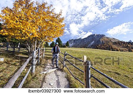 "Climbers descending from Peitlerkofel in the Puez-Geisler Nature Park, here at the Gampenwiesen meadows, behind the Kreuzjoch, Dolomites, Province of South Tyrol, Italy, Europe" View Large Photo Image Stock Image - "Climbers descending from Peitlerkofel in the Puez-Geisler Nature Park, here at the Gampenwiesen meadows, behind the Kreuzjoch, Dolomites, Province of South Tyrol, Italy, Europe". Fotosearch