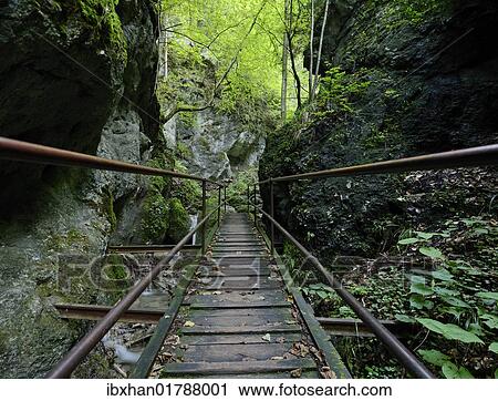 "Climbing facilities in the Steinwandklamm canyon, Triestingtal valley, Lower Austria, Austria, Europe" View Large Photo Image Stock Image - "Climbing facilities in the Steinwandklamm canyon, Triestingtal valley, Lower Austria, Austria, Europe". Fotosearch