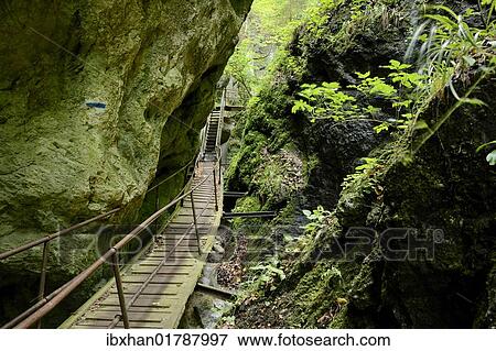 "Climbing facilities in the Steinwandklamm canyon, Triestingtal valley, Lower Austria, Austria, Europe" View Large Photo Image Stock Photo - "Climbing facilities in the Steinwandklamm canyon, Triestingtal valley, Lower Austria, Austria, Europe". Fotosearch
