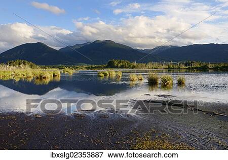 "Cloud reflections in a bog, glacial Stammbecken Moor in the alpine uplands, former Nicklheim peat works, Rosenheim, Bavaria, Germany, Europe" View Large Photo Image Stock Photo - "Cloud reflections in a bog, glacial Stammbecken Moor in the alpine uplands, former Nicklheim peat works, Rosenheim, Bavaria, Germany, Europe". Fotosearch