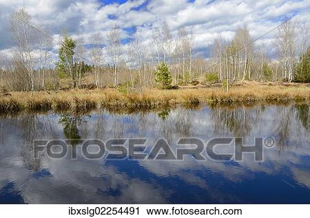 "Cloud reflections in a flooded peat cutting area, Stammbeckenmoor near Raubling, Alpine Uplands, Bavaria, Germany, Europe" View Large Photo Image Stock Image - "Cloud reflections in a flooded peat cutting area, Stammbeckenmoor near Raubling, Alpine Uplands, Bavaria, Germany, Europe". Fotosearch