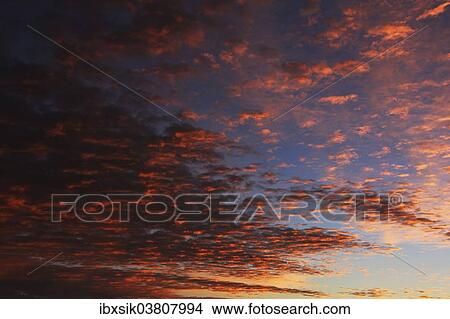 "Clouds in the sky at dawn, Germany, Europe" View Large Photo Image Picture - "Clouds in the sky at dawn, Germany, Europe". Fotosearch