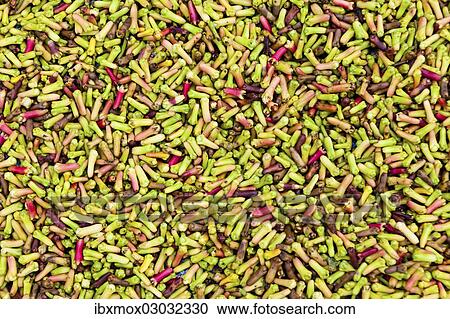 Stock Image - "Cloves, spread out for drying, Kelod, Banjar, Bali, Indonesia, Asia". Fotosearch