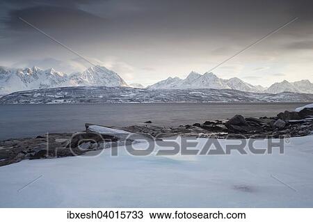 Stock Image - "Coast at Oldervik, Ullsfjorden, Tromso, Troms, Norway, Europe". Fotosearch