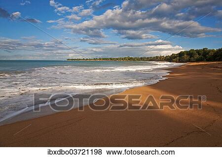 "Coast at Plage de Cluny, Anse du Vieux Fort, Plessis Nogent, Arrondissement of Basse-Terre, Guadeloupe, France, North America" View Large Photo Image Stock Photo - "Coast at Plage de Cluny, Anse du Vieux Fort, Plessis Nogent, Arrondissement of Basse-Terre, Guadeloupe, France, North America". Fotosearch