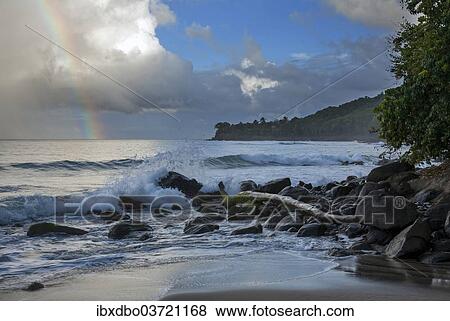 "Coast at Plage de Grande Anse, Plage de Grande Anse, Deshaies, Arrondissement of Basse-Terre, Guadeloupe, France, North America" View Large Photo Image Stock Photo - "Coast at Plage de Grande Anse, Plage de Grande Anse, Deshaies, Arrondissement of Basse-Terre, Guadeloupe, France, North America". Fotosearch