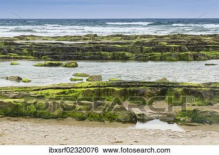 "Coast at Seahouses, Northumberland, England, United Kingdom, Europe" View Large Photo Image Stock Photograph - "Coast at Seahouses, Northumberland, England, United Kingdom, Europe". Fotosearch