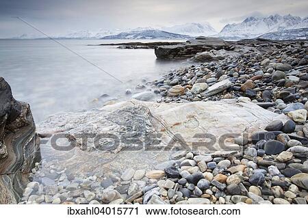 "Coast at Ullsfjorden, Oldervik, Tromso, Troms, Norway, Europe" View Large Photo Image Stock Image - "Coast at Ullsfjorden, Oldervik, Tromso, Troms, Norway, Europe". Fotosearch