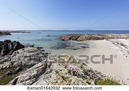 "Coast, Aughrus Beg, Connemara, County Galway, Republic of Ireland, Europe" View Large Photo Image Stock Image - "Coast, Aughrus Beg, Connemara, County Galway, Republic of Ireland, Europe". Fotosearch