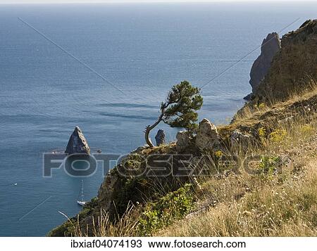 "Coast, Fiolent Cape, Black Sea, Crimea, Russia, Europe" View Large Photo Image Stock Image - "Coast, Fiolent Cape, Black Sea, Crimea, Russia, Europe". Fotosearch