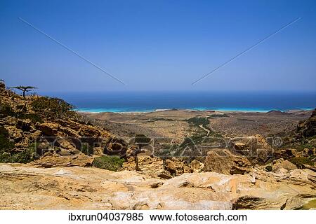 "Coast, Homhil protected area, island of Socotra, Yemen, Asia" View Large Photo Image Stock Photography - "Coast, Homhil protected area, island of Socotra, Yemen, Asia". Fotosearch