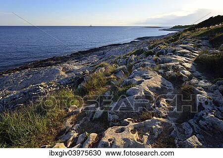 "Coast in the evening light, Cape Kamenjak, Premantura, Istria, Croatia, Europe" View Large Photo Image Stock Image - "Coast in the evening light, Cape Kamenjak, Premantura, Istria, Croatia, Europe". Fotosearch
