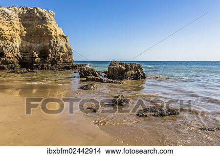 "Coast, Praia da Rocha, Portimao, Algarve, Portugal, Europe, Atlantic Ocean, Europe" View Large Photo Image Picture - "Coast, Praia da Rocha, Portimao, Algarve, Portugal, Europe, Atlantic Ocean, Europe". Fotosearch