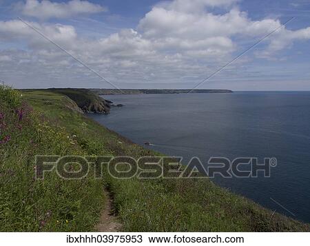 "Coast, South-West Coast Path in Cornwall, Great Britain" View Large Photo Image Stock Image - "Coast, South-West Coast Path in Cornwall, Great Britain". Fotosearch