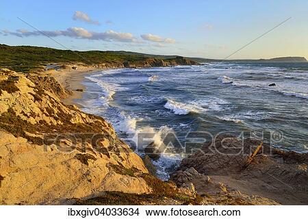 "Coast with rocks and sandy beach in the evening light, Rena Majore, Province of Olbia-Tempio, Sardinia, Italy, Europe" View Large Photo Image Picture - "Coast with rocks and sandy beach in the evening light, Rena Majore, Province of Olbia-Tempio, Sardinia, Italy, Europe". Fotosearch