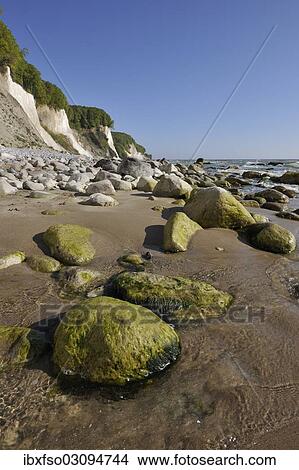 Picture - "Coastal cliffs, shingle beach and chalk cliffs, Jasmund National Park, Rugen, Mecklenburg-Western Pomerania, Germany, Europe". Fotosearch