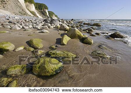 Stock Image - "Coastal cliffs, shingle beach and chalk cliffs, UNESCO World Natural Heritage Site, Jasmund National Park, Rugen, Mecklenburg-Western Pomerania, Germany, Europe". Fotosearch