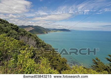 "Coastal landscape at East Cape, Ghisborne region, North Island, New Zealand, Oceania" View Large Photo Image Stock Photography - "Coastal landscape at East Cape, Ghisborne region, North Island, New Zealand, Oceania". Fotosearch