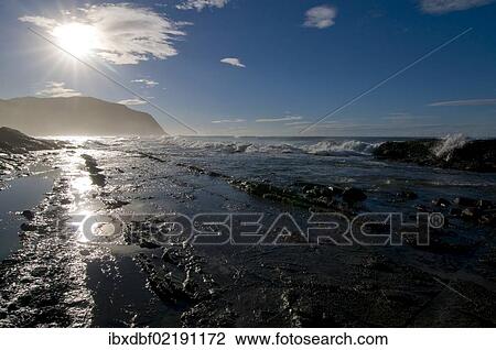 Stock Image - "Coastal landscape in the morning light, Wild Coast, Eastern Cape, South Africa, Africa". Fotosearch